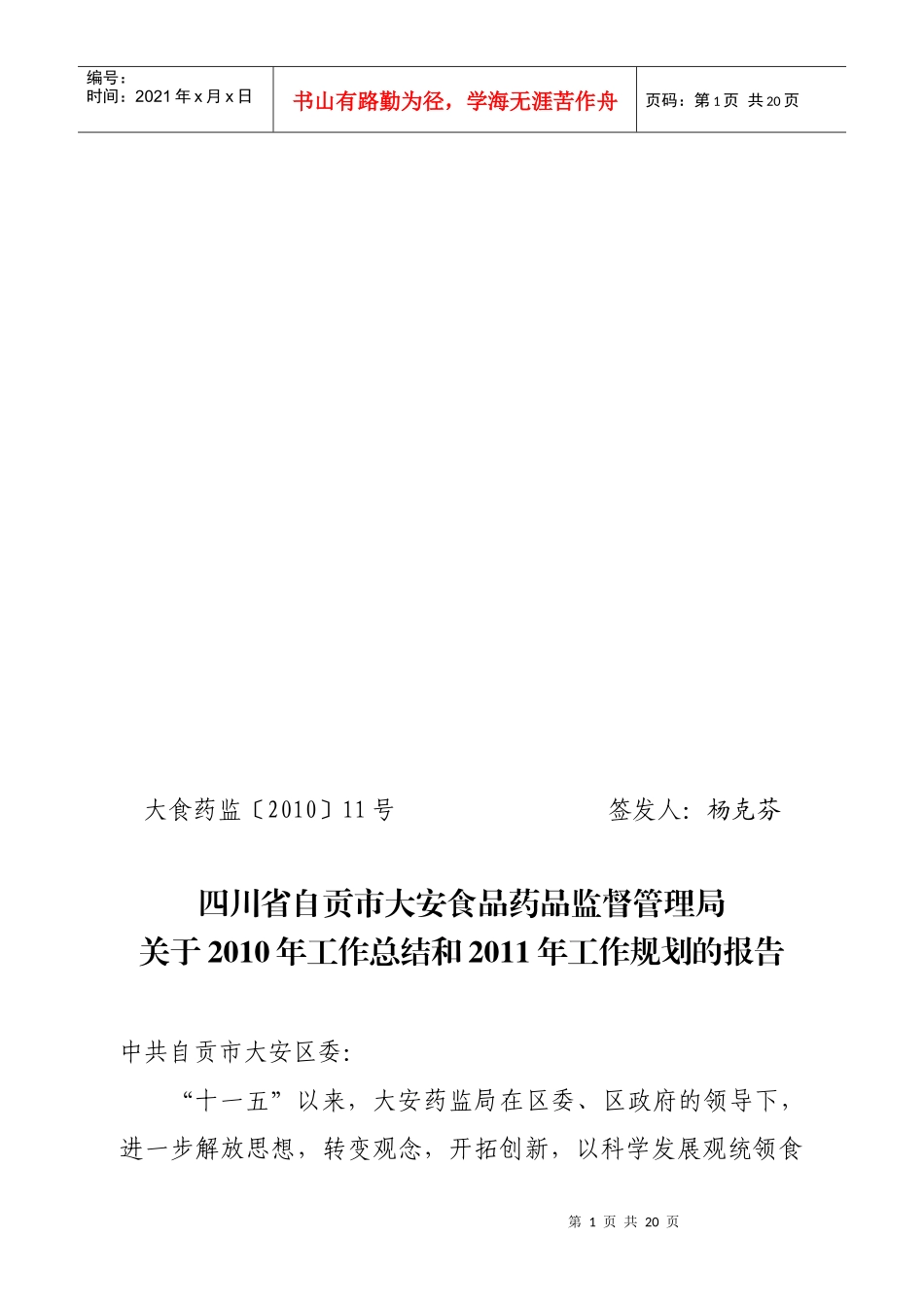 药监局XXXX总结计划_第1页