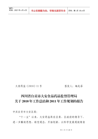 药监局XXXX总结计划