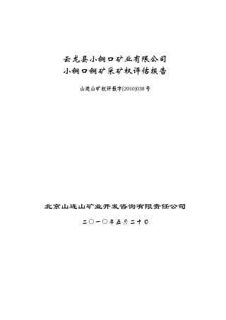 评估案例3-038铜矿采矿权评估报告