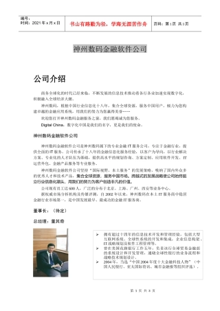 神州数码金融软件公司