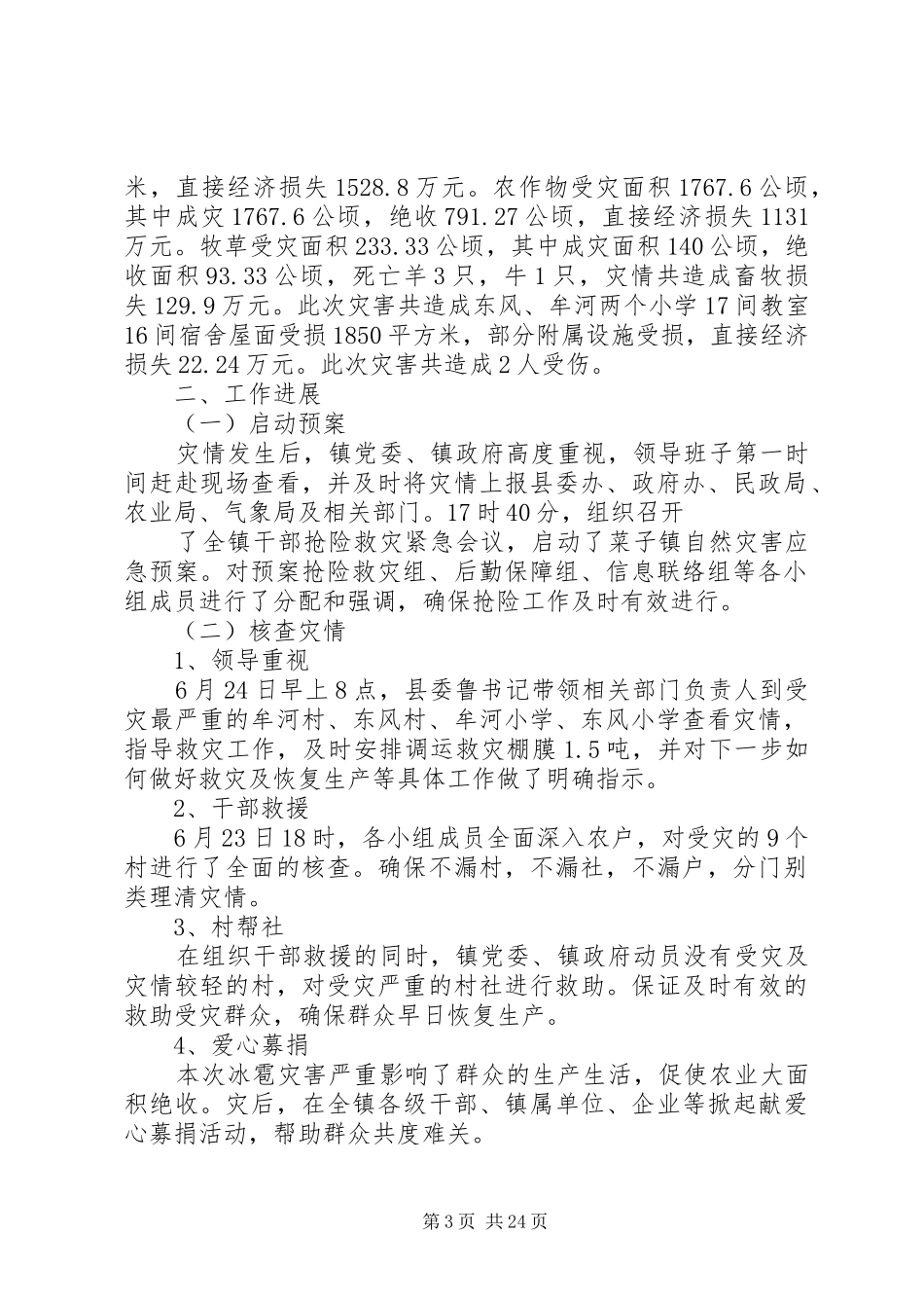 6.23特大冰雹灾害灾区重建汇报材料_第3页