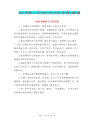 2024专科护士工作计划与2024专项工作方案4篇汇编