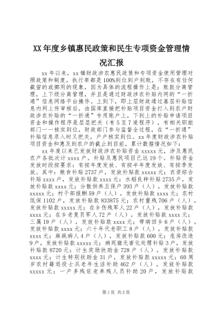 XX年度乡镇惠民政策和民生专项资金管理情况汇报