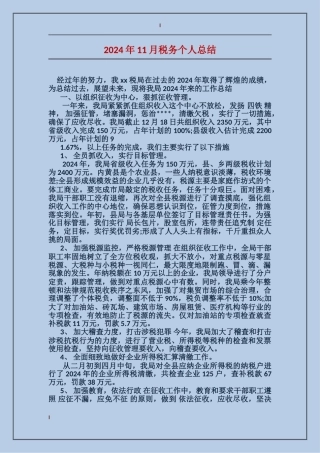 2017年11月税务个人总结