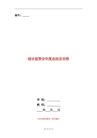 综合监管全年度总结及安排