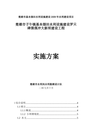 罗只倮倮冲大新坝实施方案