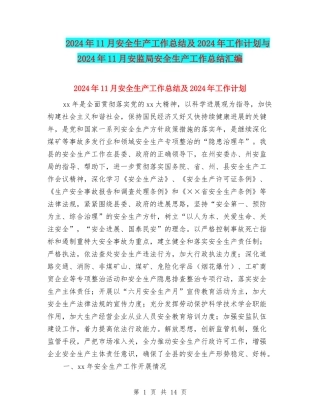 2024年11月安全生产工作总结及2024年工作计划与2024年11月安监局安全生产工作总结汇编