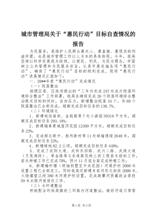 城市管理局关于“惠民行动”目标自查情况的报告