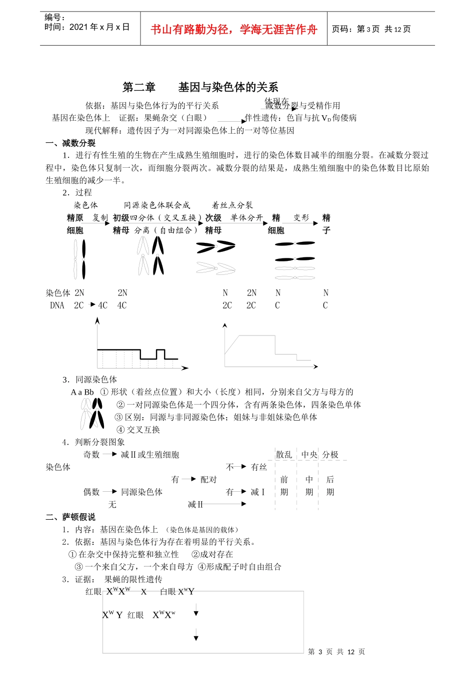 高中生物必修2教案(20节精品)_第3页
