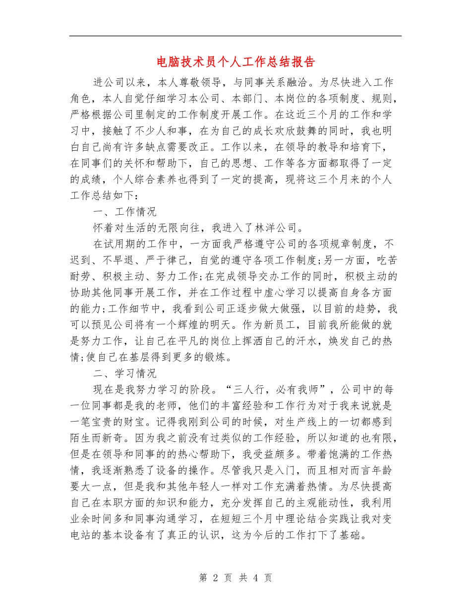 电脑技术员个人工作总结报告_第2页