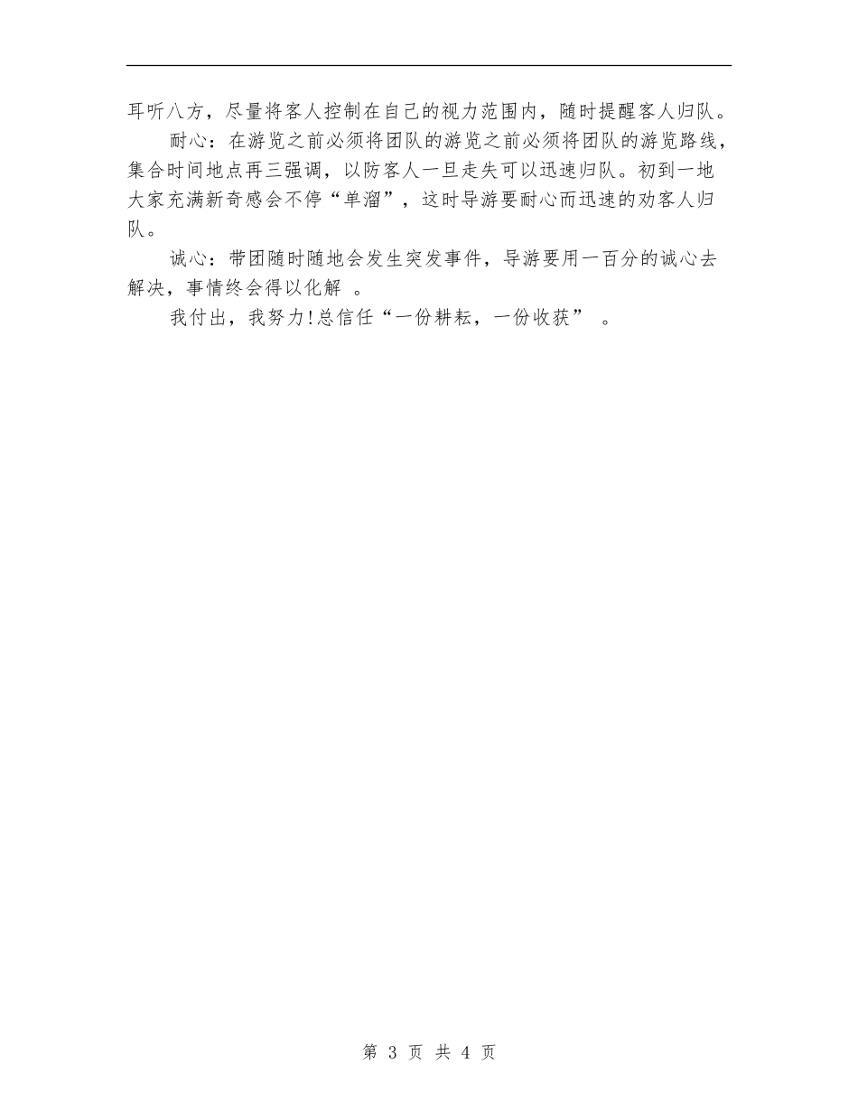 2024新导游年终总结_第3页