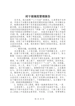 村干部规范管理报告