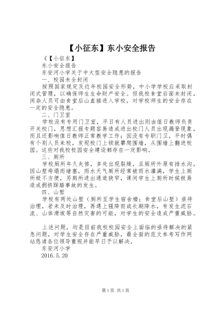 【小征东】东小安全报告