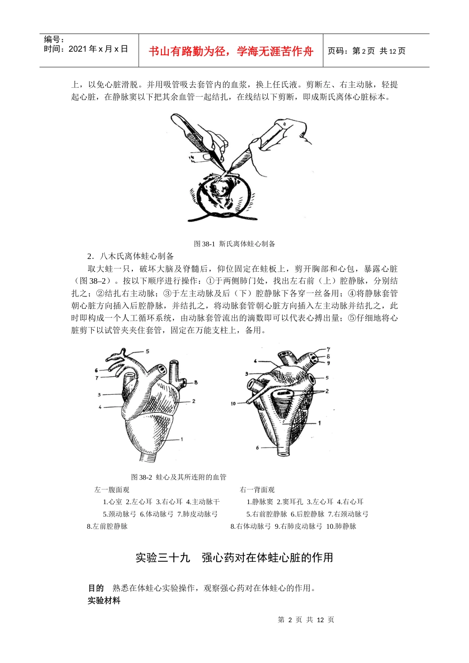 第五章血液循环系统药物实验_第2页