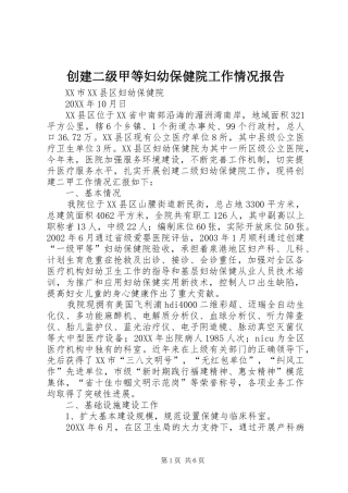 创建二级甲等妇幼保健院工作情况报告