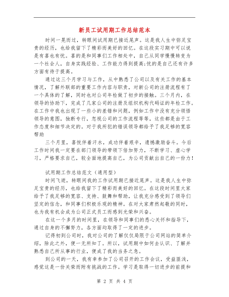 新员工试用期工作总结范本_第2页