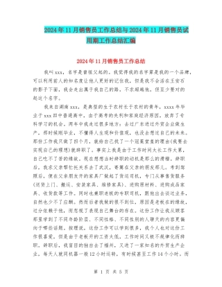 2024年11月销售员工作总结与2024年11月销售员试用期工作总结汇编