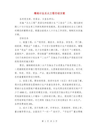 计生五大工程行动方案