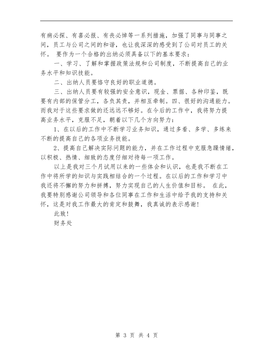 2024年10月出纳试用期工作总结【新版】_第3页