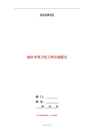2024年市卫生工作计划范文