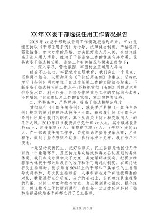 XX年XX委干部选拔任用工作情况报告