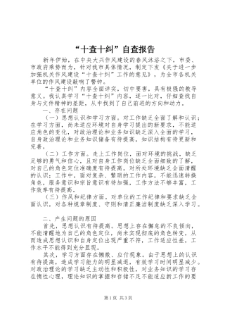 “十查十纠”自查报告