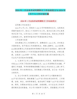 2024年1月业务员试用期转正工作总结范文与2024年1月个人工作计划汇编