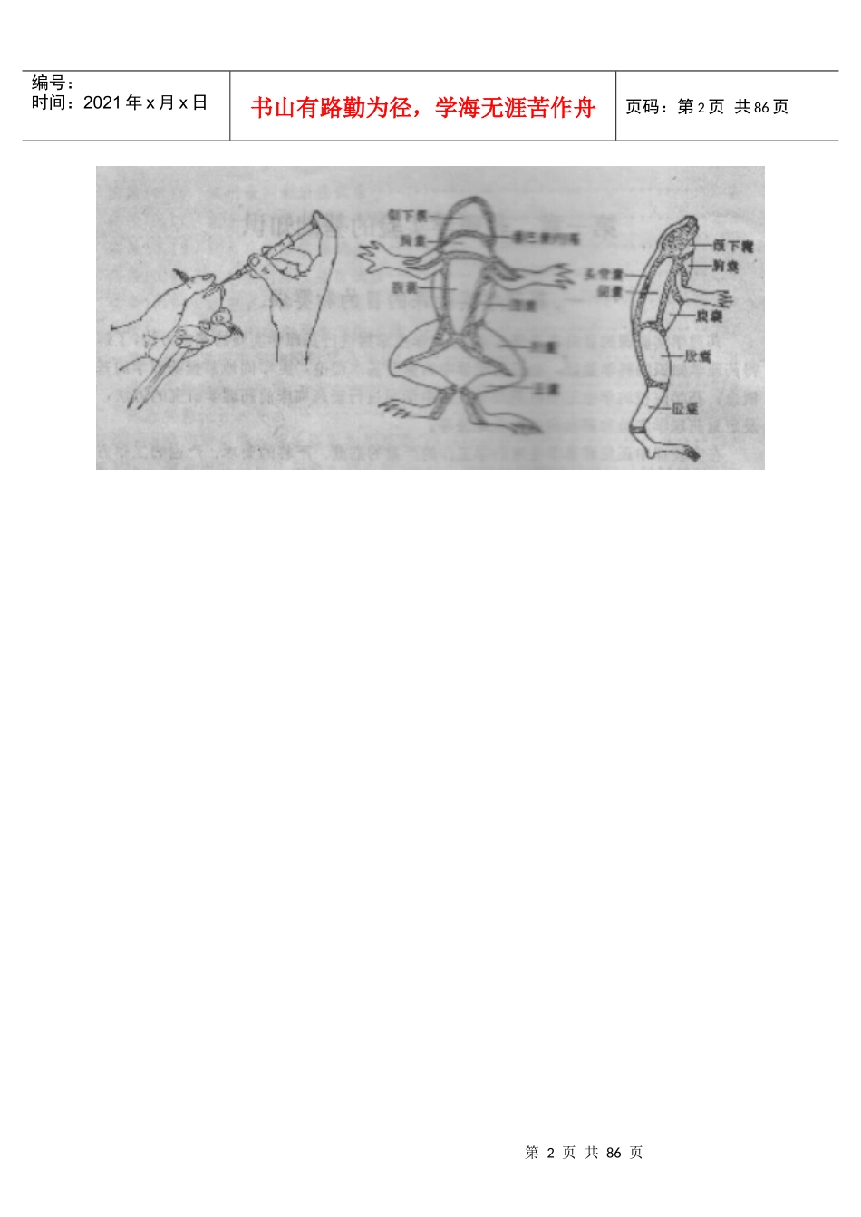 药理学实验的基础知识_第2页