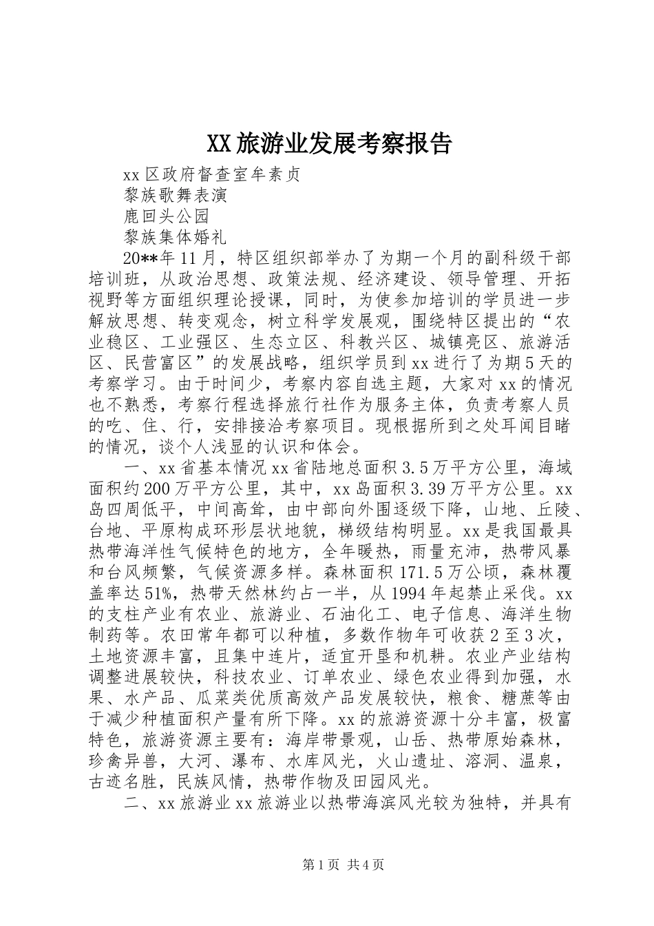 XX旅游业发展考察报告_第1页
