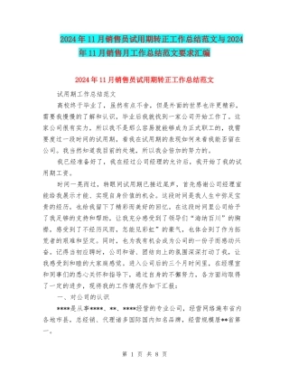 2024年11月销售员试用期转正工作总结范文与2024年11月销售月工作总结范文要求汇编