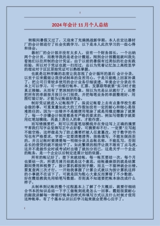 2017年会计11月个人总结