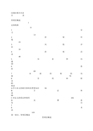 内部审计资料-COSO报告、制度