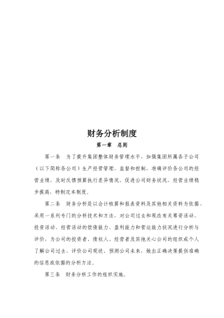 某集团财务分析制度