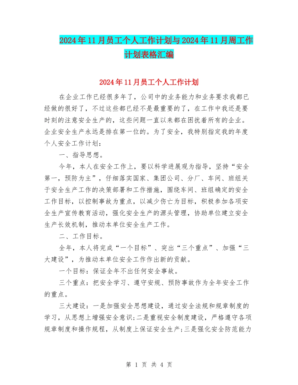 2024年11月员工个人工作计划与2024年11月周工作计划表格汇编_第1页