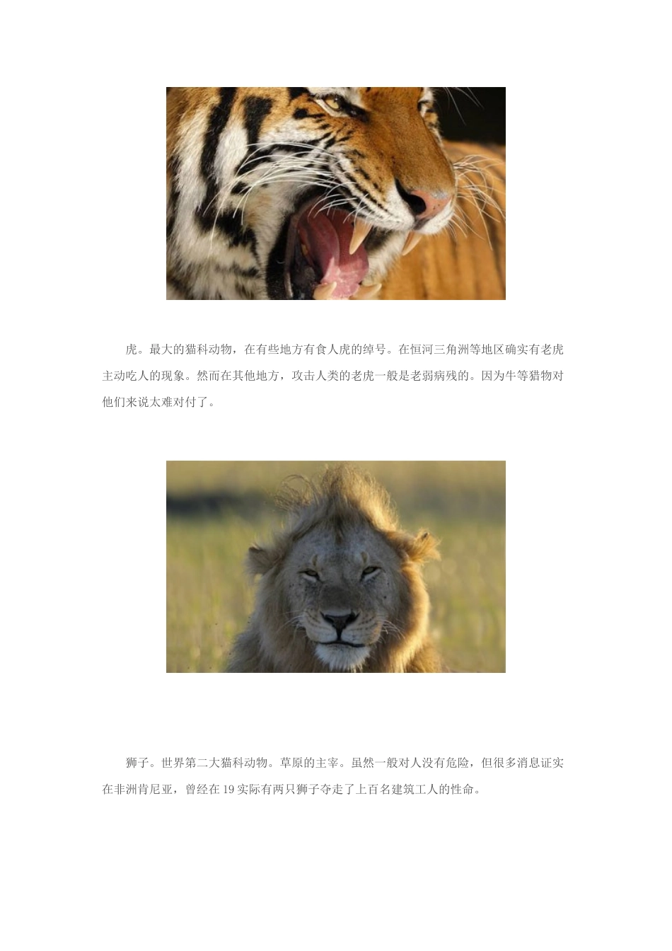 奇闻大观：盘点世界上最凶悍的捕食者！(图)_第2页