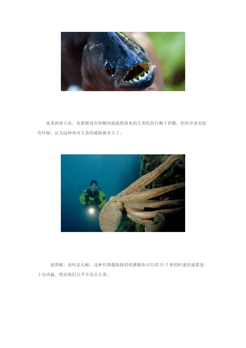 奇闻大观：盘点世界上最凶悍的捕食者！(图)_第3页