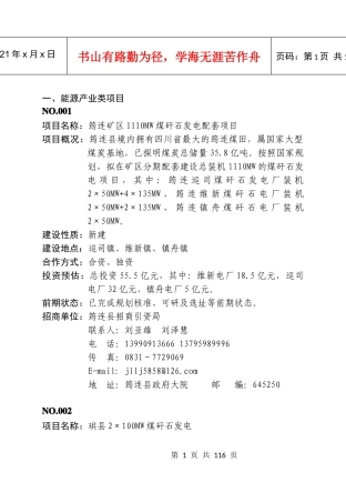 能源产业类项目