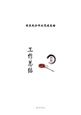 村农民合作社党建总结