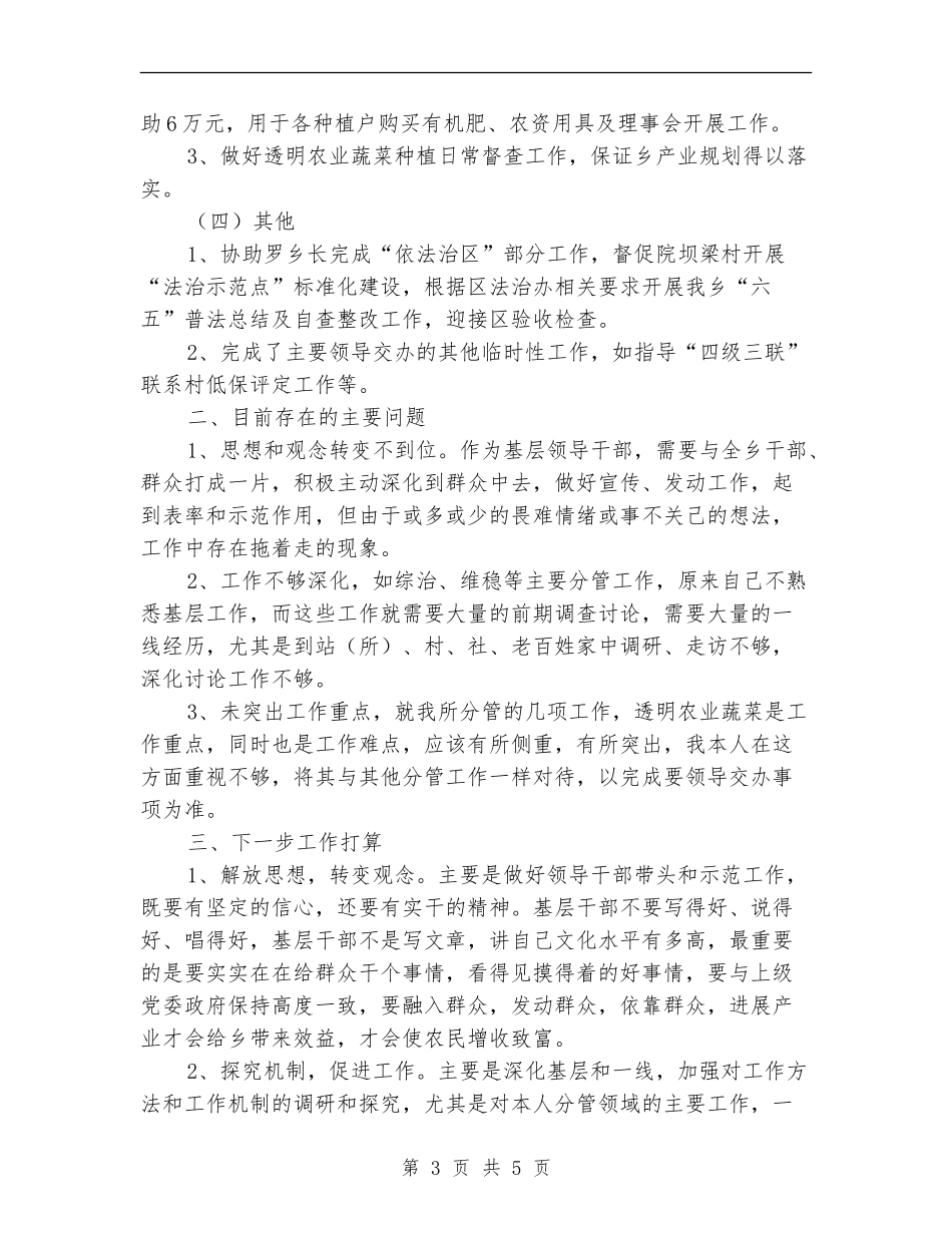 乡党委副书记个人述职报告【新版】_第3页