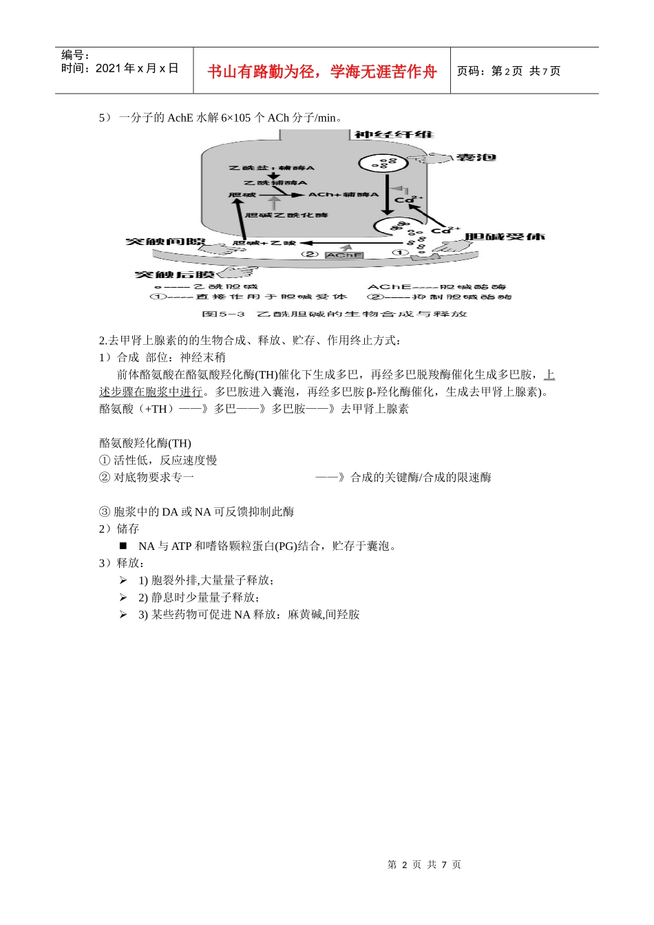 第五章 传出神经系统药理概论_第2页