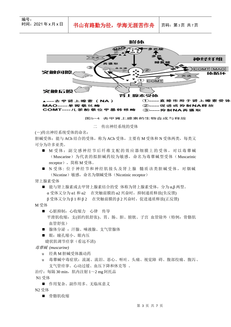 第五章 传出神经系统药理概论_第3页