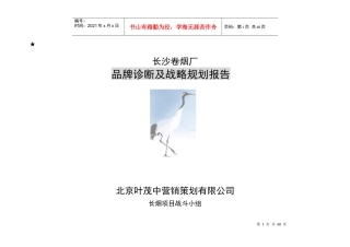 长沙卷烟厂品牌诊断及战略规划报告