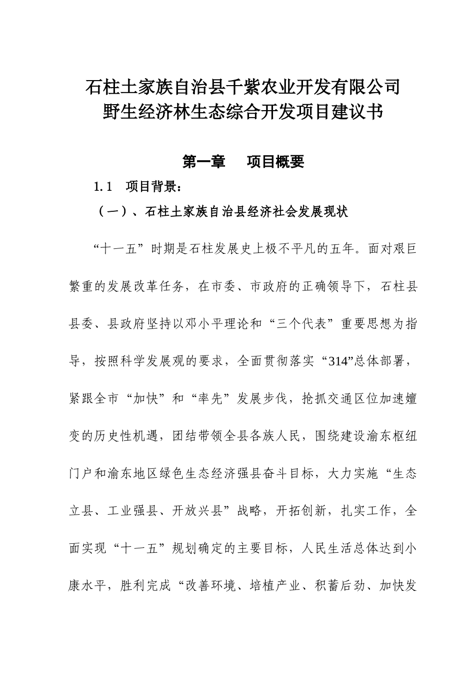 千紫农业综合开发项目建议书(修改版)_第1页