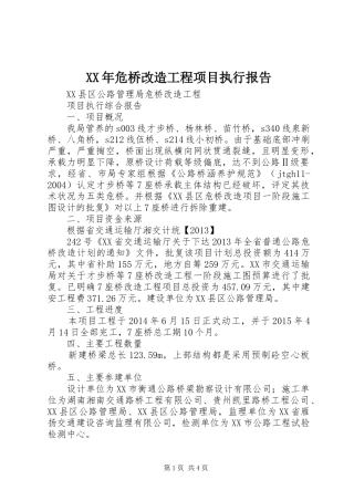 XX年危桥改造工程项目执行报告