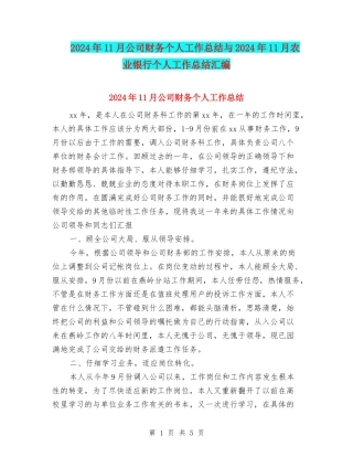 2024年11月公司财务个人工作总结与2024年11月农业银行个人工作总结汇编