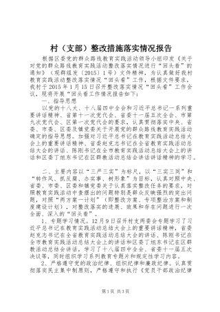 村（支部）整改措施落实情况报告