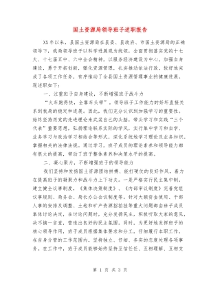 国土资源局领导班子述职报告