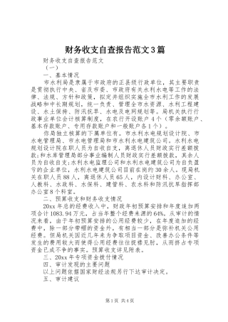 财务收支自查报告范文3篇