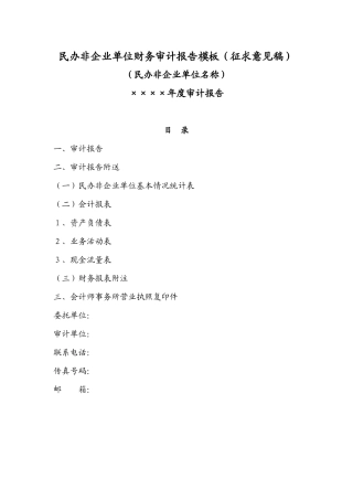 民办非企业单位财务审计报告模板