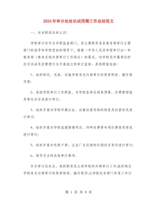 2024年审计处处长试用期工作总结范文